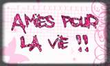 Amis pour la vie !!